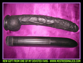 24 INCH VIBRATOR AND 24 INCH DONG