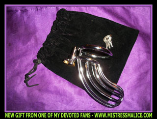 BIRD CAGE CHASTITY DEVICE