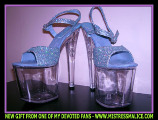 BLUE RHINESTONE V-DAY 8INCH HEELS