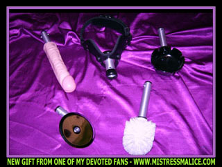 HUMILIATOR GAG AND ACCESSORIES