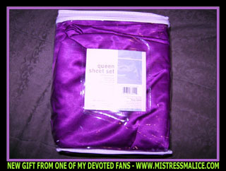 $200 PURPLE SATIN SHEETS