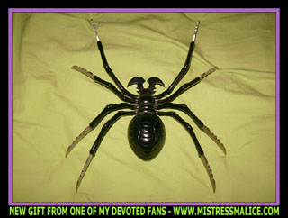 DEADLY SPIDER WITH KNIVED LEGS