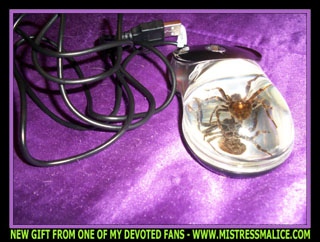 SPIDER COMPUTER MOUSE